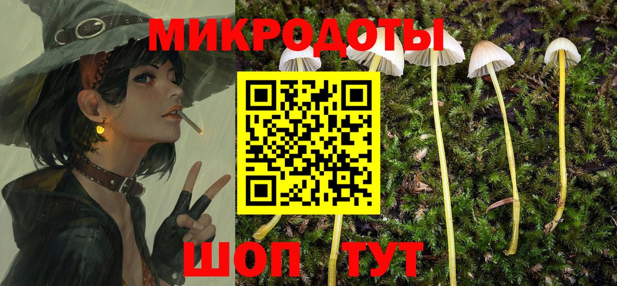 Псилоцибиновые грибы Psilocybe  Вход с VPN  Домодедово 